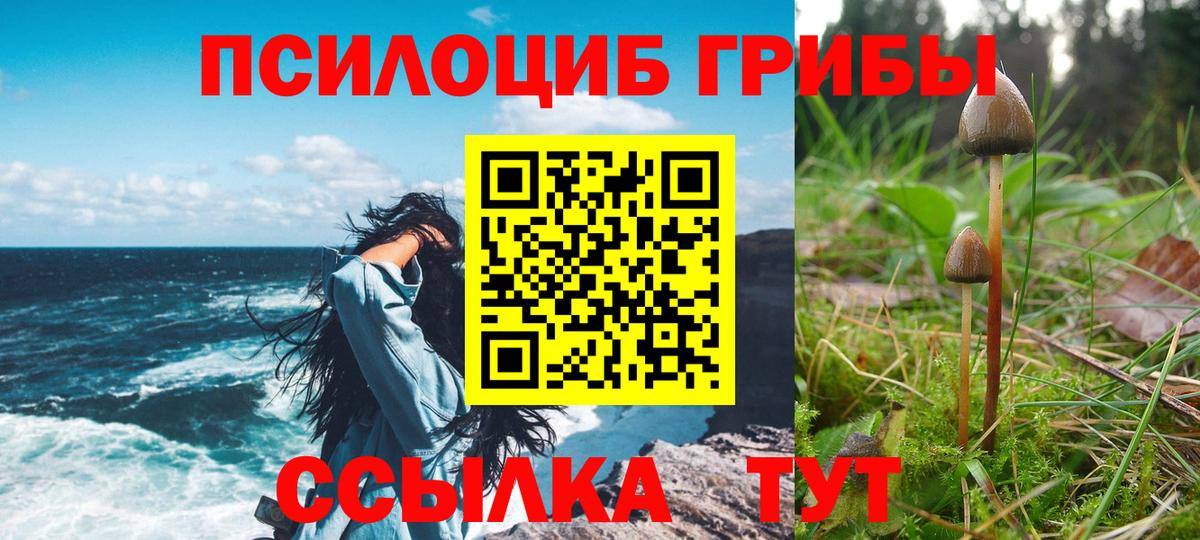 Псилоцибиновые грибы ЛСД  Вход с VPN  как найти наркотики  Галлюциногенные грибы прущие грибы  Дмитров 